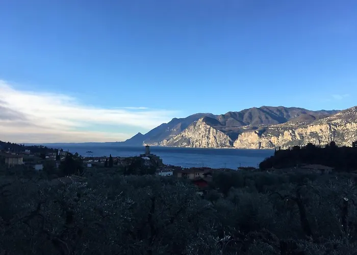 Kormorano 52
